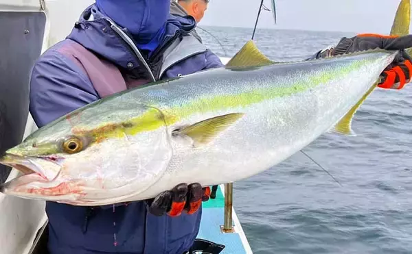 「ブリが怒涛のラッシュ！」上越沖ジギングで本命ブリ船中全員安打達成【八海丸】