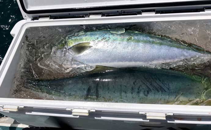 「ブリが怒涛のラッシュ！」上越沖ジギングで本命ブリ船中全員安打達成【八海丸】