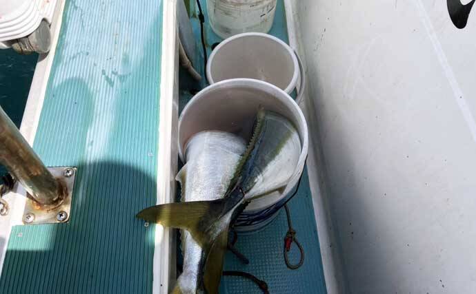 「ブリが怒涛のラッシュ！」上越沖ジギングで本命ブリ船中全員安打達成【八海丸】