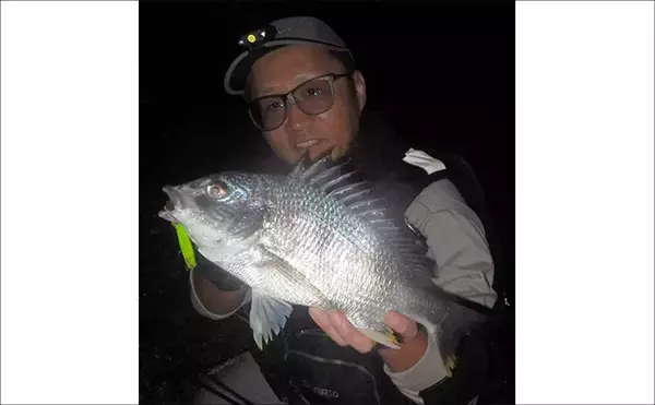 「浜名湖・陸っぱりルアー釣果情報　小型のプラグルアーにクロダイ・キビレが連続バイト！」の画像