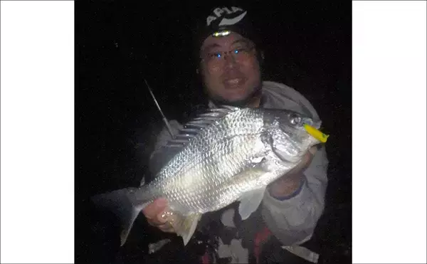 「浜名湖・陸っぱりルアー釣果情報　小型のプラグルアーにクロダイ・キビレが連続バイト！」の画像