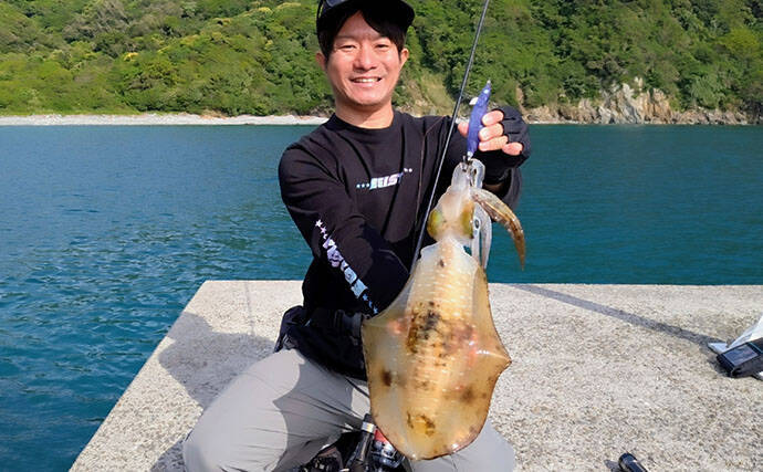 「一年で最も大物が釣りやすい季節！」 春エギング入門解説【タックル・エギ・ポイント】