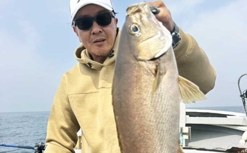 50cm級の超ビッグサイズのイサキが2桁釣果！【船釣り最新情報5選・大分／熊本】
