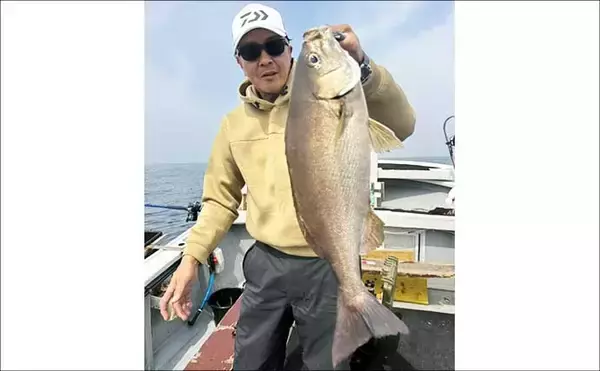 「50cm級の超ビッグサイズのイサキが2桁釣果！【船釣り最新情報5選・大分／熊本】」の画像