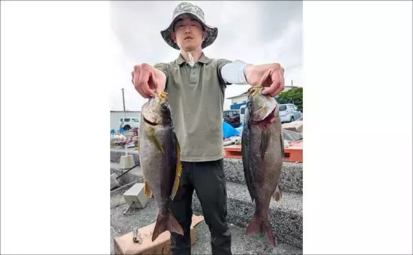 「50cm級の超ビッグサイズのイサキが2桁釣果！【船釣り最新情報5選・大分／熊本】」の画像