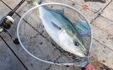 「初めての「海上釣り堀」　【種類・選び方・事前準備・持ち物を解説】」の画像6