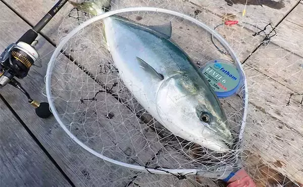 「初めての「海上釣り堀」　【種類・選び方・事前準備・持ち物を解説】」の画像