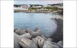 「大阪湾の人気釣り場『深日港』を紹介　遠浅の地形ゆえルアーウェイトにはご注意を」の画像6