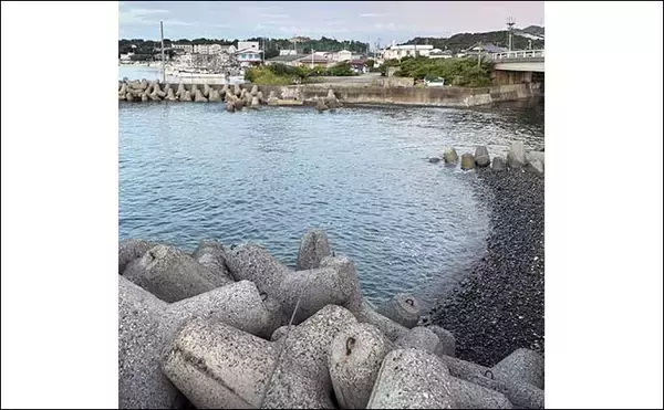 「大阪湾の人気釣り場『深日港』を紹介　遠浅の地形ゆえルアーウェイトにはご注意を」の画像