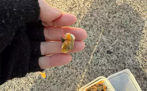 「釣り女子イチオシの釣りエサは「アサリ」！ 釣れる魚と下準備の方法を紹介」の画像