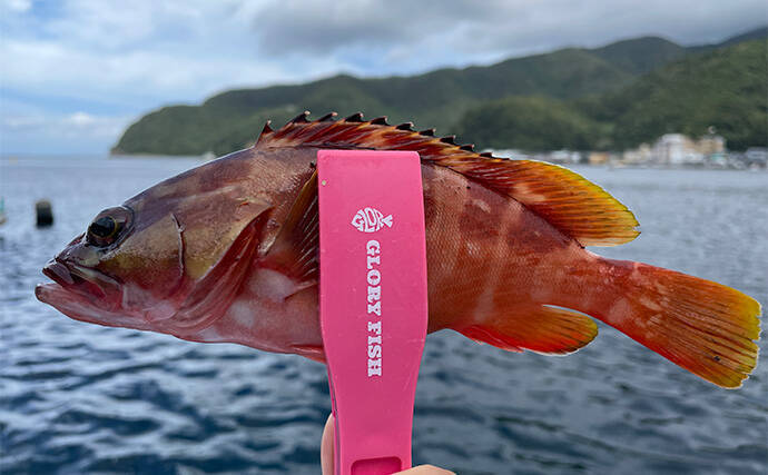 釣り女子イチオシの釣りエサは「アサリ」！ 釣れる魚と下準備の方法を紹介