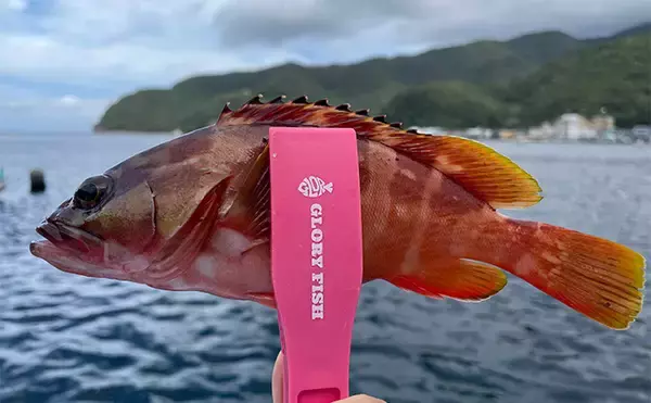 「釣り女子イチオシの釣りエサは「アサリ」！ 釣れる魚と下準備の方法を紹介」の画像