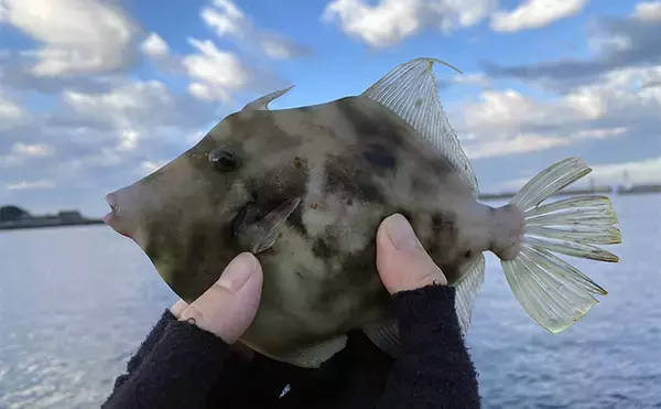 「釣り女子イチオシの釣りエサは「アサリ」！ 釣れる魚と下準備の方法を紹介」の画像