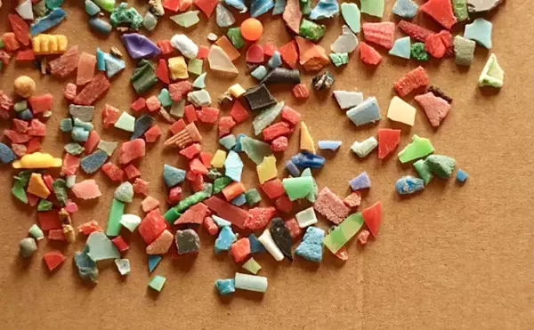 「目に見えない海洋ゴミ「ナノプラスチック」のせいで魚の生存率が低下する」の画像