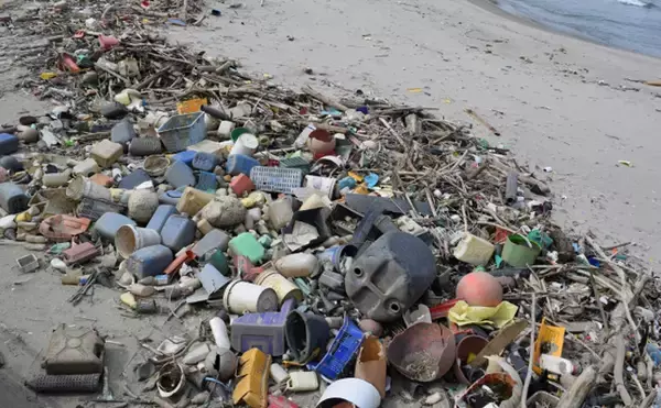 「目に見えない海洋ゴミ「ナノプラスチック」のせいで魚の生存率が低下する」の画像