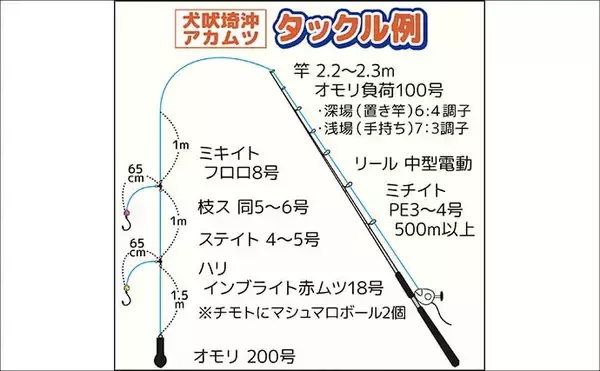 「「犬吠埼沖の深場で赤い宝石浮上！」アカムツ釣りで43cm良型登場【千葉】」の画像