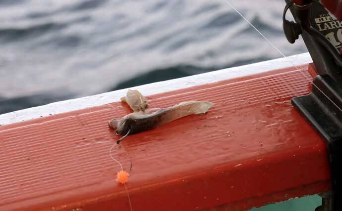 「犬吠埼沖の深場で赤い宝石浮上！」アカムツ釣りで43cm良型登場【千葉】