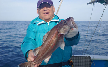 中深海釣り釣果速報：1kg超え「アラ」に「ウッカリカサゴ」を好捕【わし丸・静岡】