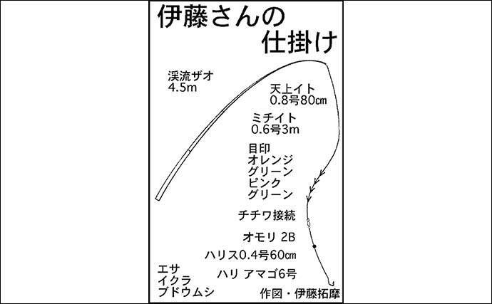 残雪の田村川で渓流釣り満喫　エン堤下プール狙いアマゴ＆ニジマス手中