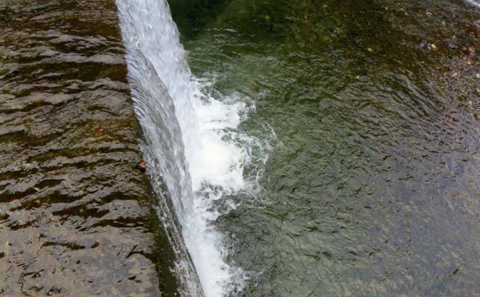 残雪の田村川で渓流釣り満喫　エン堤下プール狙いアマゴ＆ニジマス手中