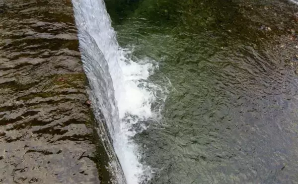 「残雪の田村川で渓流釣り満喫　エン堤下プール狙いアマゴ＆ニジマス手中」の画像