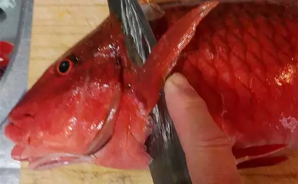 「釣り人的「ゲスト魚」レシピ：オジサンの刺身〜柚子胡椒添え」の画像