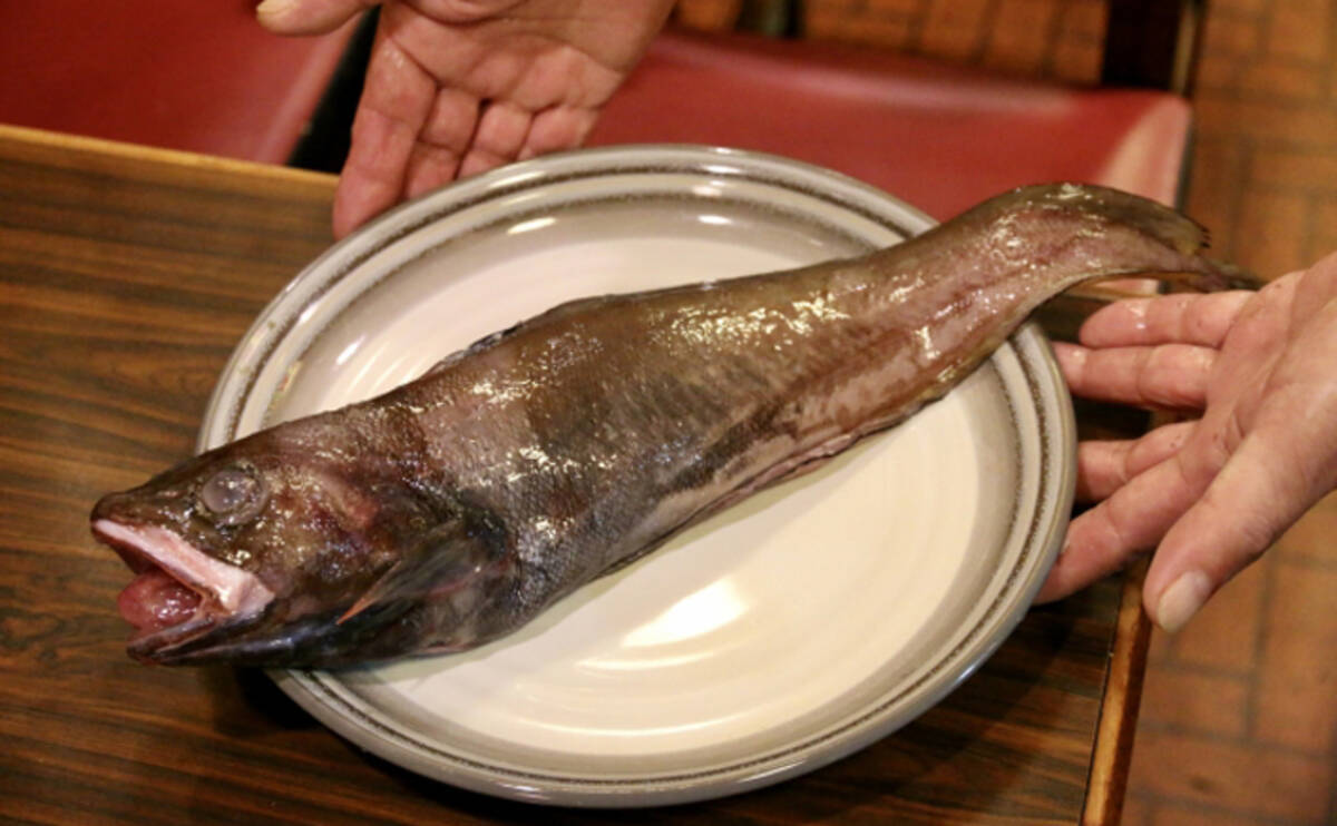 海の どんこ も川の どんこ も汁物が絶品 異なるのは味付けだけ 22年10月2日 エキサイトニュース