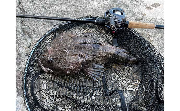 見た目はグロテスクだけど美味！釣りの定番ゲストで作る【北海道名物カジカ汁】