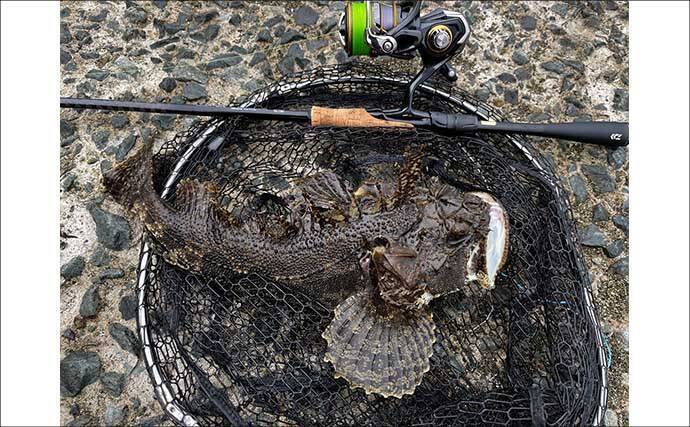 見た目はグロテスクだけど美味！釣りの定番ゲストで作る【北海道名物カジカ汁】