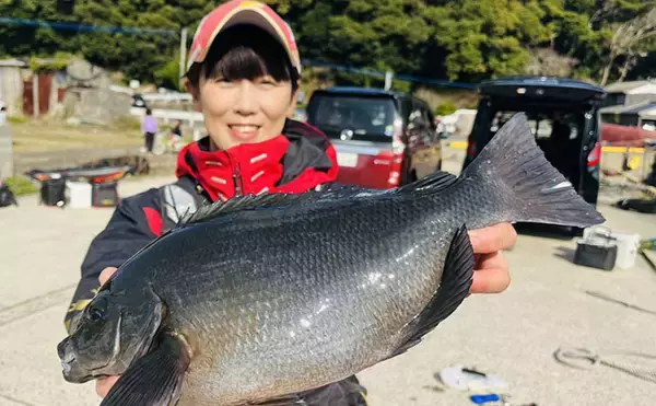 「磯フカセ釣りで40cm超えグレ続々！【的山大島・長崎】好ゲストにイサキも登場」の画像