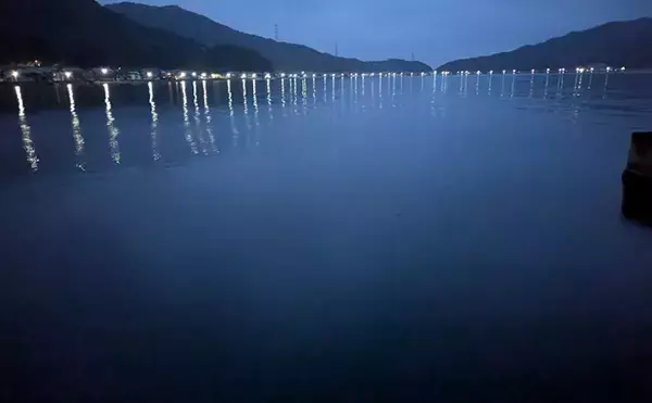 「日本海でライトロックゲーム＆エギングの二刀流釣行【京都】ガシラにコウイカの両本命をキャッチ！」の画像