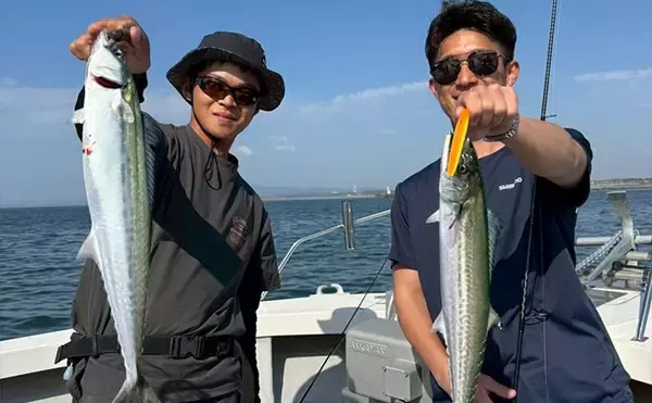「「出港2分でサゴシが連発！」 キャスティングでナブラを狙い撃ち【うさぎ丸・石川】」の画像