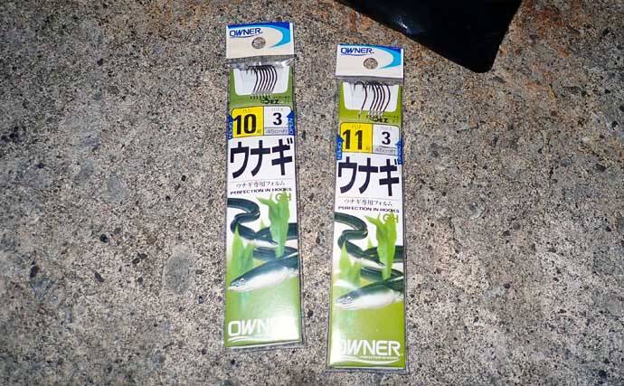 堤防アナゴ釣り入門 生態 時期 仕掛け エサ 釣り方を解説 22年2月6日 エキサイトニュース