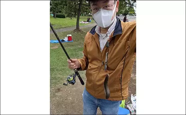 「『ギンポ』釣り入門　【生態・ポイント選び・釣り方・食べ方を解説】」の画像