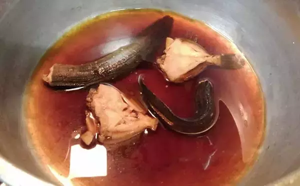 「『ギンポ』釣り入門　【生態・ポイント選び・釣り方・食べ方を解説】」の画像