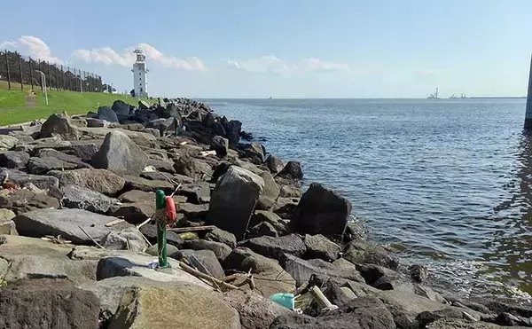 「『ギンポ』釣り入門　【生態・ポイント選び・釣り方・食べ方を解説】」の画像