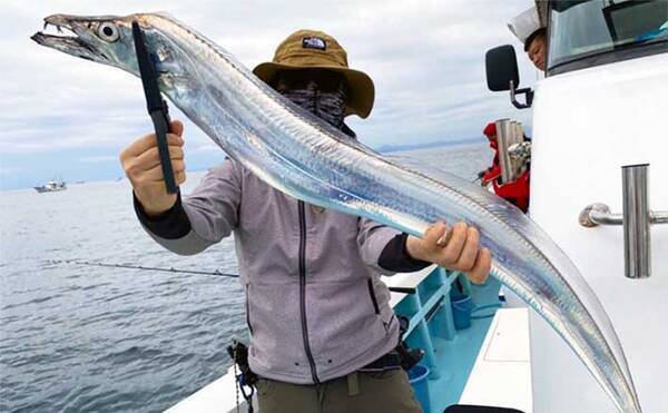大分 熊本 船釣り最新釣果 テンヤタチウオ釣りで指8本 神龍 級も 22年10月26日 エキサイトニュース