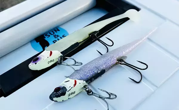 「【大阪・南港魚つり園】ルアーシーバス釣行で50cm本命　「ビッグバッカー」にヒット」の画像