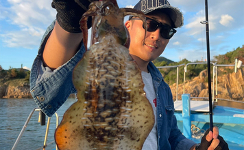 秋のアオリイカエギングで釣果を伸ばすコツ3選　足元確認とただ巻きをお忘れなく！