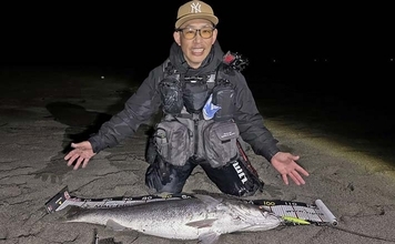 「オオニベ102cmが砂浜に降臨！」遠州灘サーフのルアーゲームでメーター超え達成【静岡】
