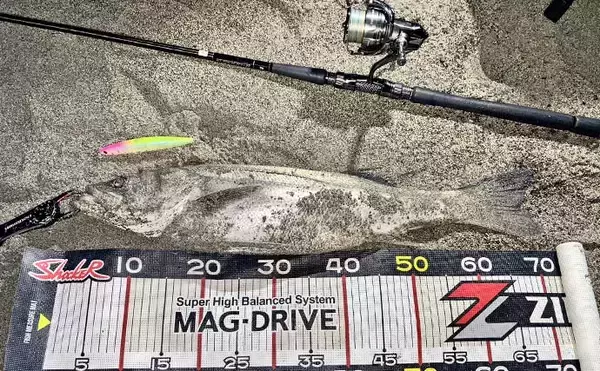 「「オオニベ102cmが砂浜に降臨！」遠州灘サーフのルアーゲームでメーター超え達成【静岡】」の画像