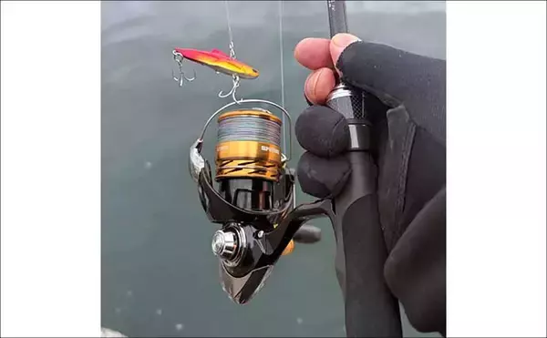 「ゼロから始めるチニング 【初心者向けのタックルとルアーを解説】」の画像