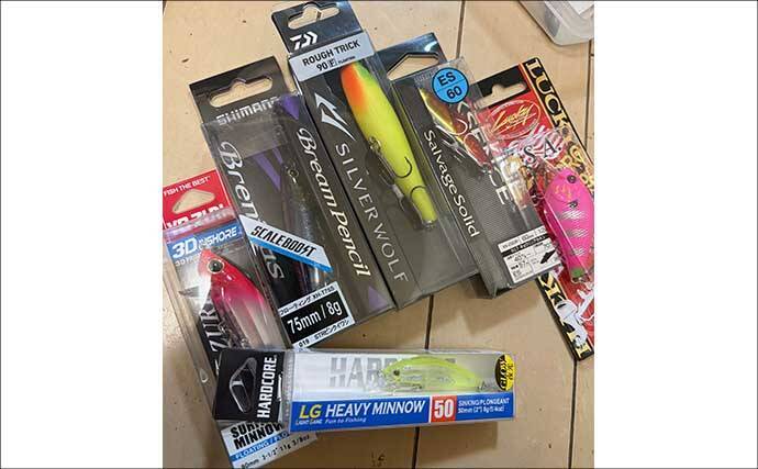 ゼロから始めるチニング 【初心者向けのタックルとルアーを解説】