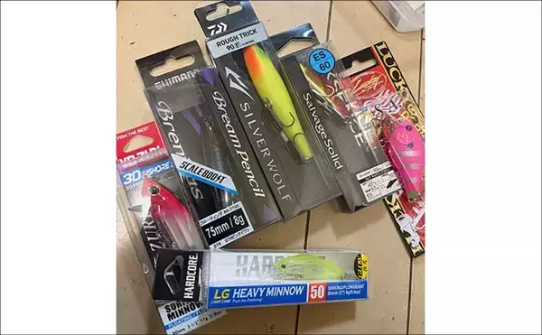 「ゼロから始めるチニング 【初心者向けのタックルとルアーを解説】」の画像