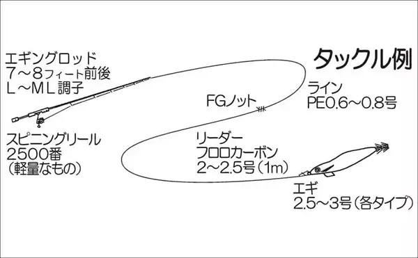 「「秋イカシーズン到来！」佐多岬の実釣で学ぶ初心者向けエギング基本講座【鹿児島】」の画像