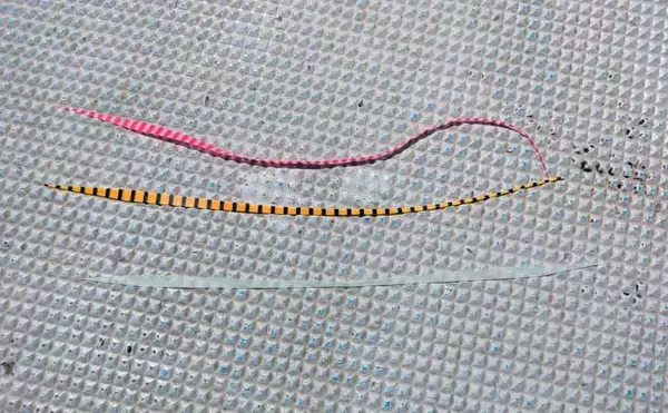 「「これだけ覚えればOK！」秋タイラバ五目の攻め方・タックル選び・狙うレンジを詳しく解説」の画像