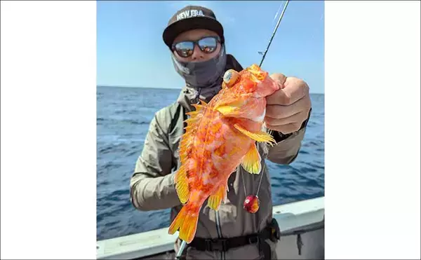 「「これだけ覚えればOK！」秋タイラバ五目の攻め方・タックル選び・狙うレンジを詳しく解説」の画像