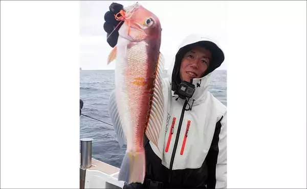 「「これだけ覚えればOK！」秋タイラバ五目の攻め方・タックル選び・狙うレンジを詳しく解説」の画像