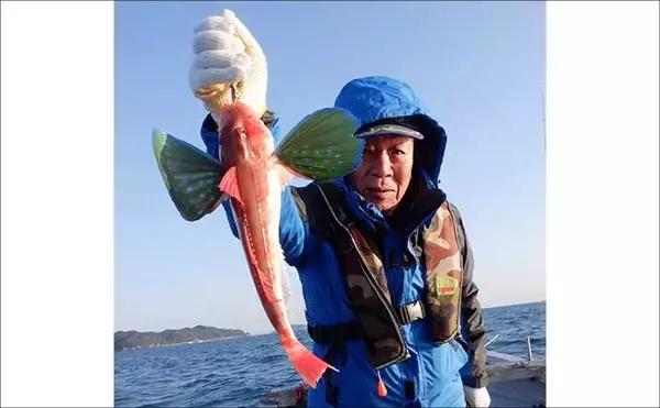 「「これだけ覚えればOK！」秋タイラバ五目の攻め方・タックル選び・狙うレンジを詳しく解説」の画像