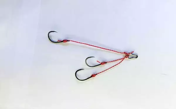 「「これだけ覚えればOK！」秋タイラバ五目の攻め方・タックル選び・狙うレンジを詳しく解説」の画像